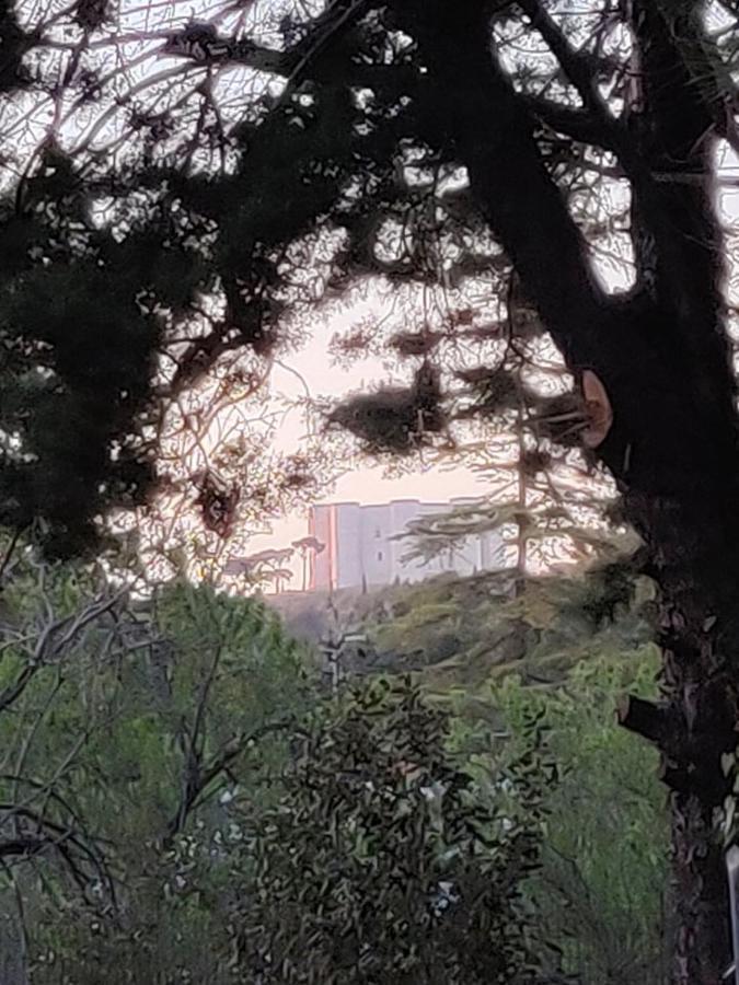 קסטל דל מונטה Nature, Memories And Garden Shower At Casa Del Castello מראה חיצוני תמונה