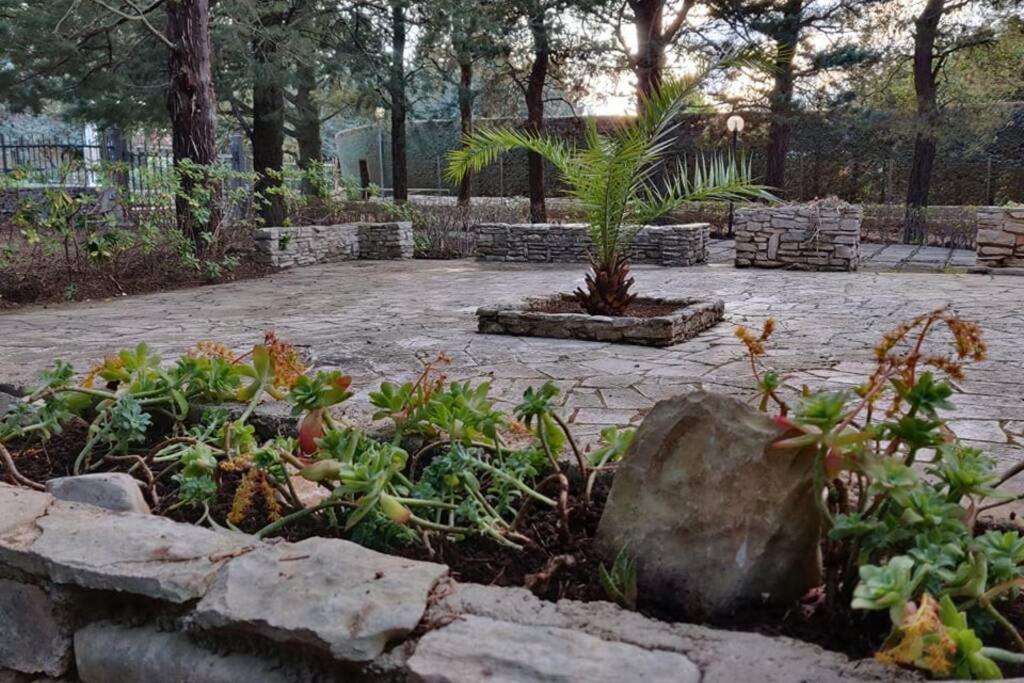 קסטל דל מונטה Nature, Memories And Garden Shower At Casa Del Castello מראה חיצוני תמונה