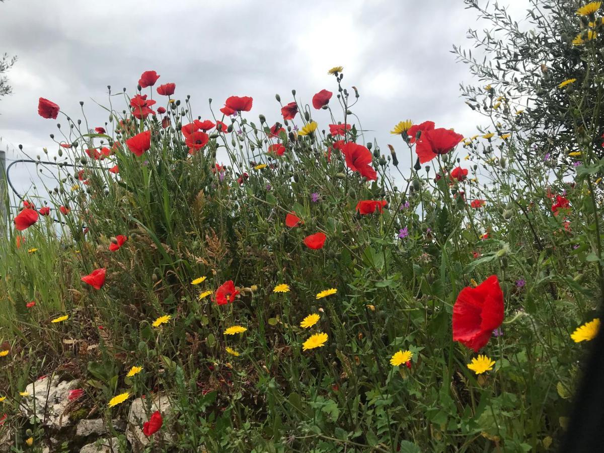 קסטל דל מונטה Nature, Memories And Garden Shower At Casa Del Castello מראה חיצוני תמונה